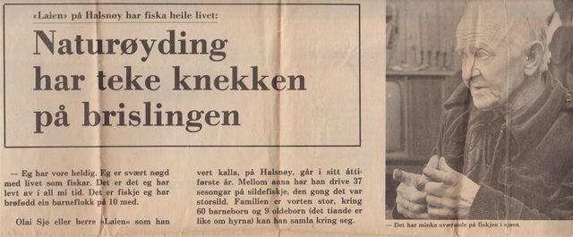 Olai Sjo om brislingfiske  1/3 Utklipp Frode Sæbø, 1977